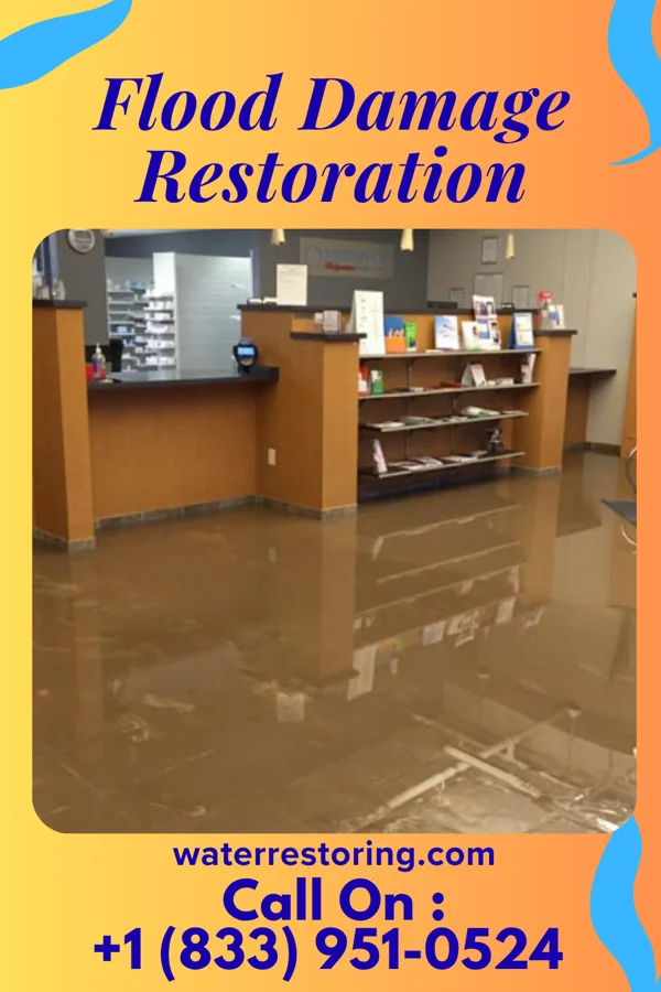 Flood Damage Restoration in Grayson Valley, AL